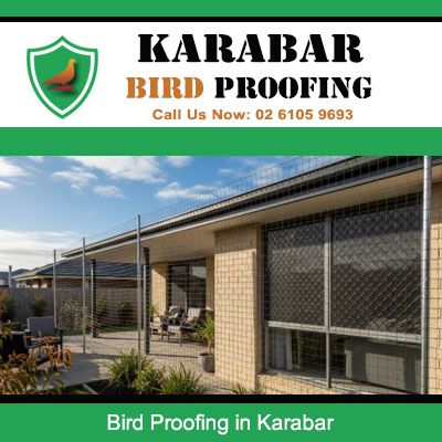 Bird proofing mesh installed on modern brick home windows and eaves in Karabar suburb